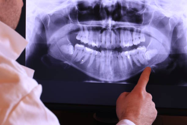 Best Emergency X-Rays and Diagnostics in Steele, MO